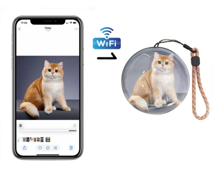 Detalhe do Produto - Gato